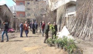 Mersin’den gönderilen meyve fidanları yoğun ilgi gördü