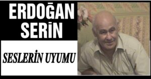 Erdoğan SERİN: MİLLET SİYASETÇİDEN BIKTI!