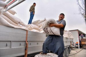 Mersin’de büyükbaş hayvancılıkla uğraşan çiftçilere ‘mısır flake’ yem desteği