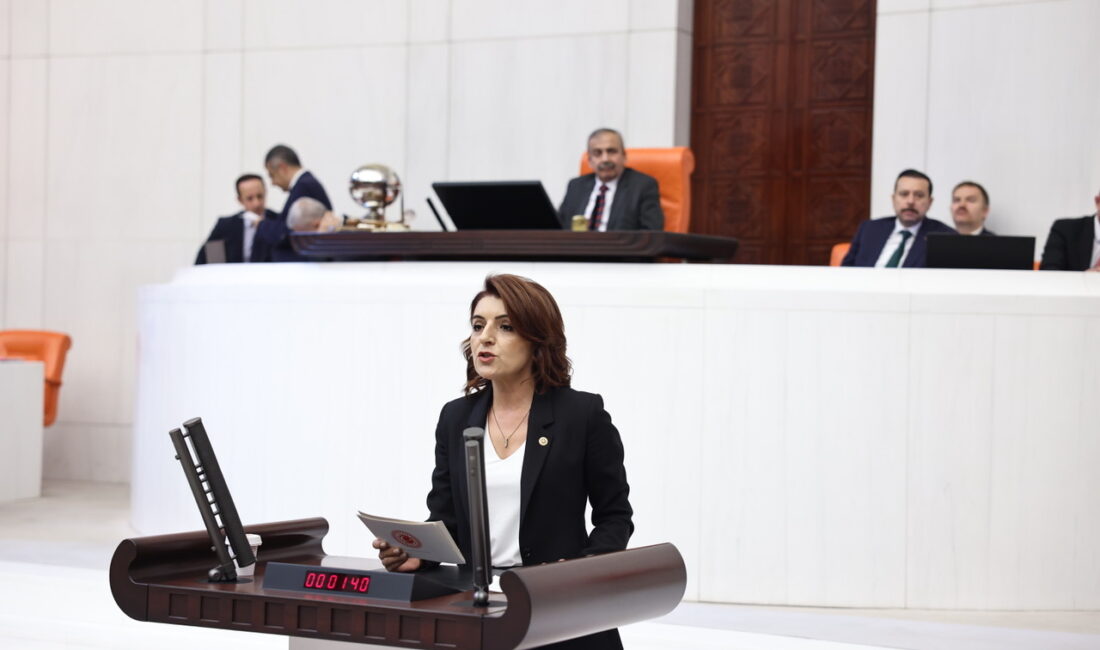 CHP Mersin Milletvekili Gülcan