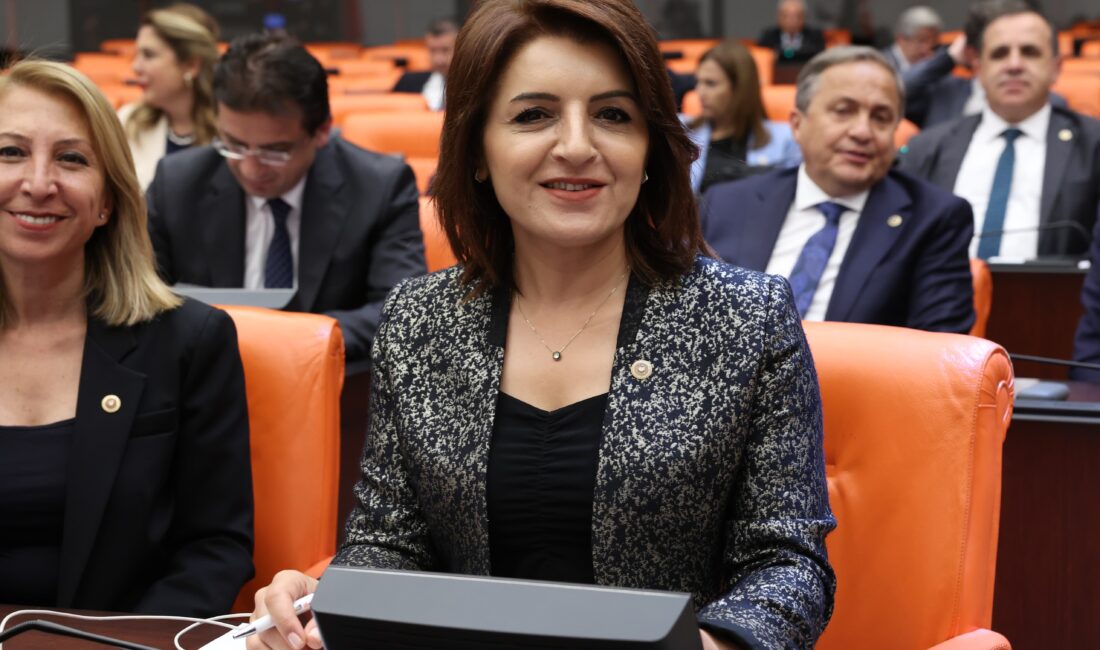 CHP Mersin Milletvekili Gülcan