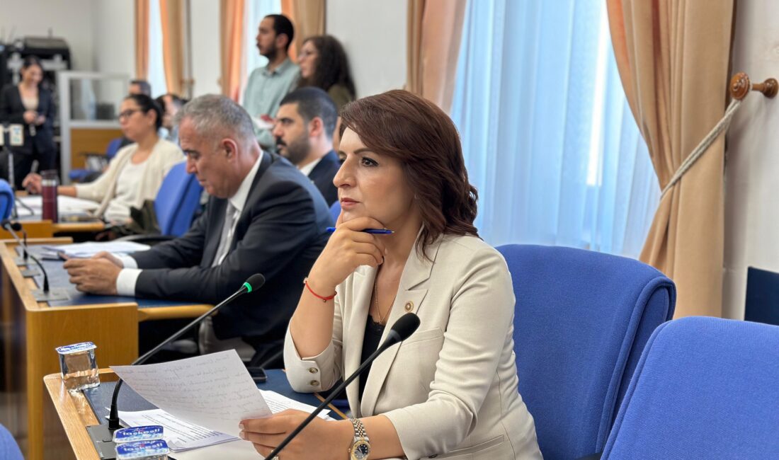 CHP Mersin Milletvekili Gülcan Kış, TBMM Tarım, Orman ve Köyişleri