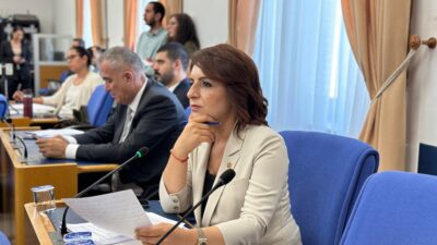 CHP Mersin Milletvekili Gülcan Kış, TBMM Tarım, Orman ve Köyişleri