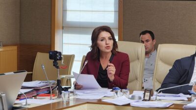 CHP Mersin Milletvekili Gülcan Kış, AKP tarafından meclis gündemine getirilen