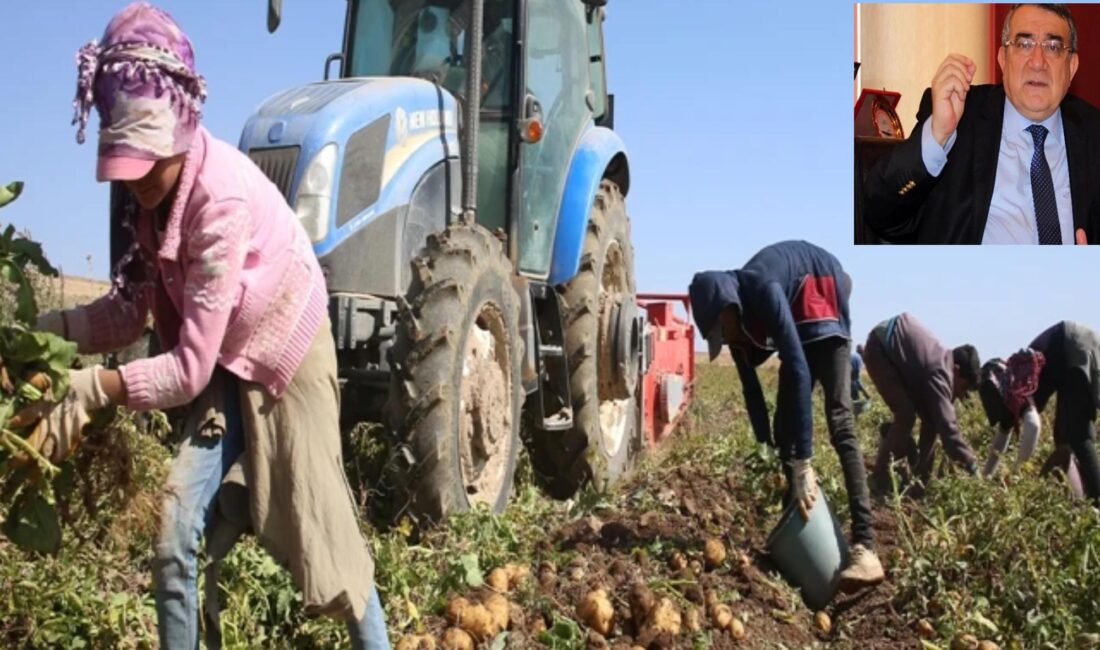 “Serbest bölgesi, gümrük antrepoları,