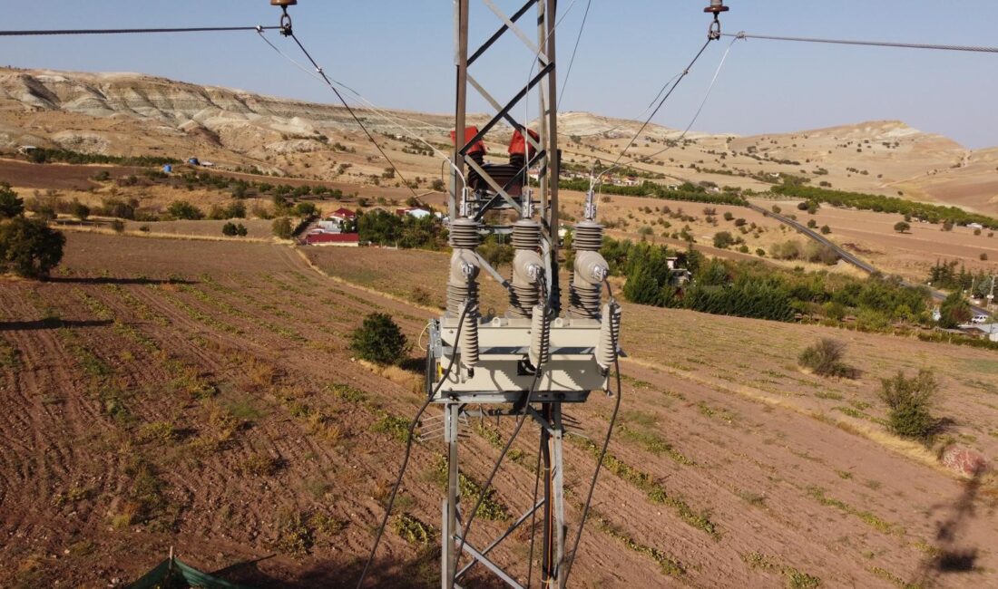 Enerjisa Dağıtım Şirketleri havai enerji hatlarındaki geçici arızaları otomatik olarak