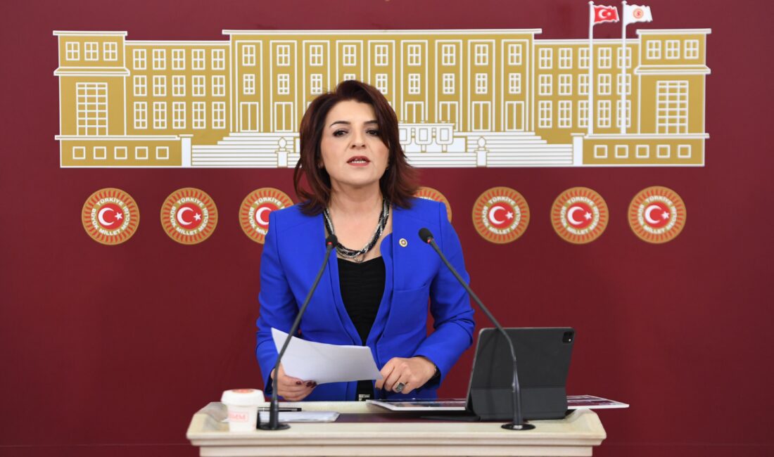 CHP Mersin Milletvekili Gülcan