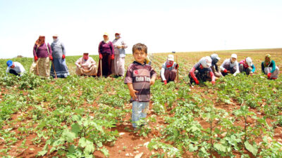 ARZU ÖZER DEVA Partisi Genel Başkan Yardımcısı Mehmet Emin Ekmen,