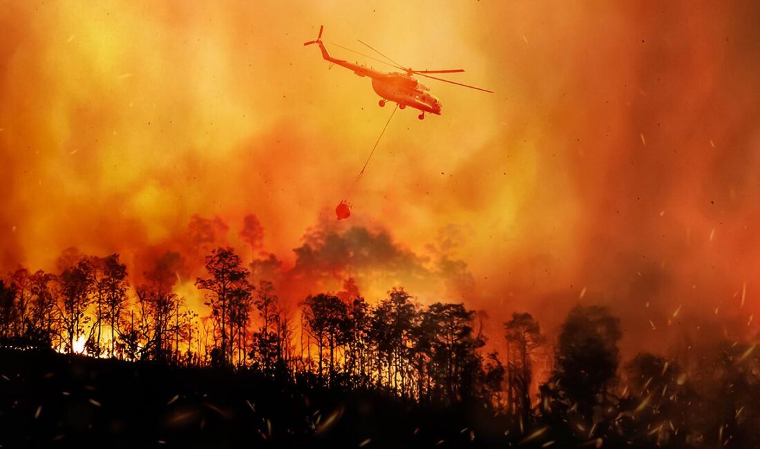 DEVA Partisi Genel Başkan Yardımcısı Mehmet Emin Ekmen, orman yangınlarıyla