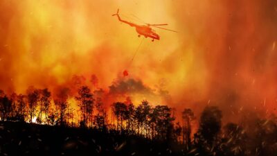 DEVA Partisi Genel Başkan Yardımcısı Mehmet Emin Ekmen, orman yangınlarıyla