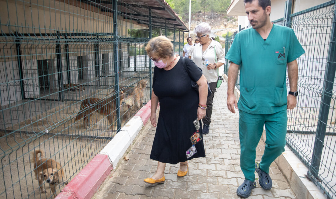 Mersin Büyükşehir Belediyesi Tarımsal