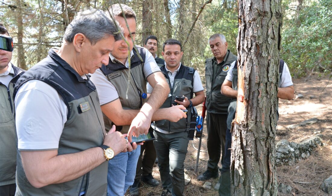 Orman Genel Müdürlüğümüz tarafından hazırlanan