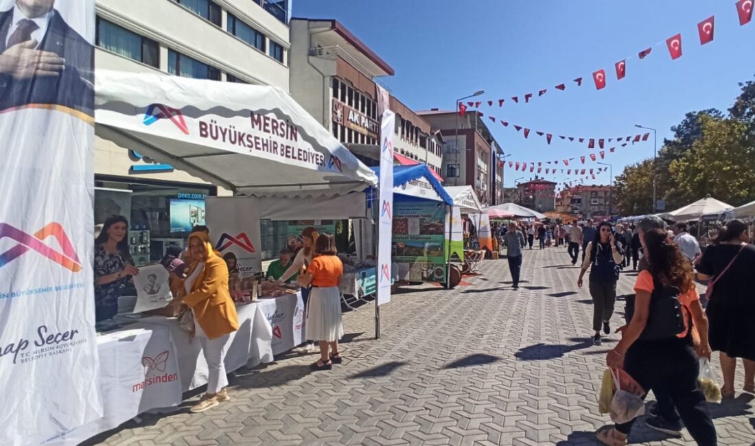 Mersin Büyükşehir Belediyesi, Beypazarı