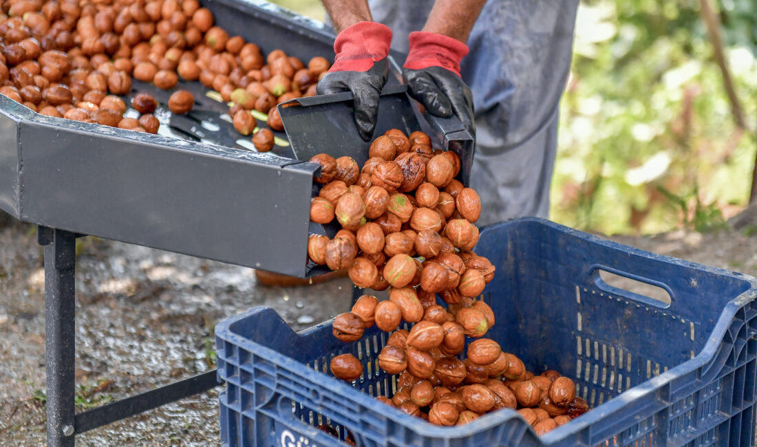 Verdiği farklı desteklerle çiftçiye