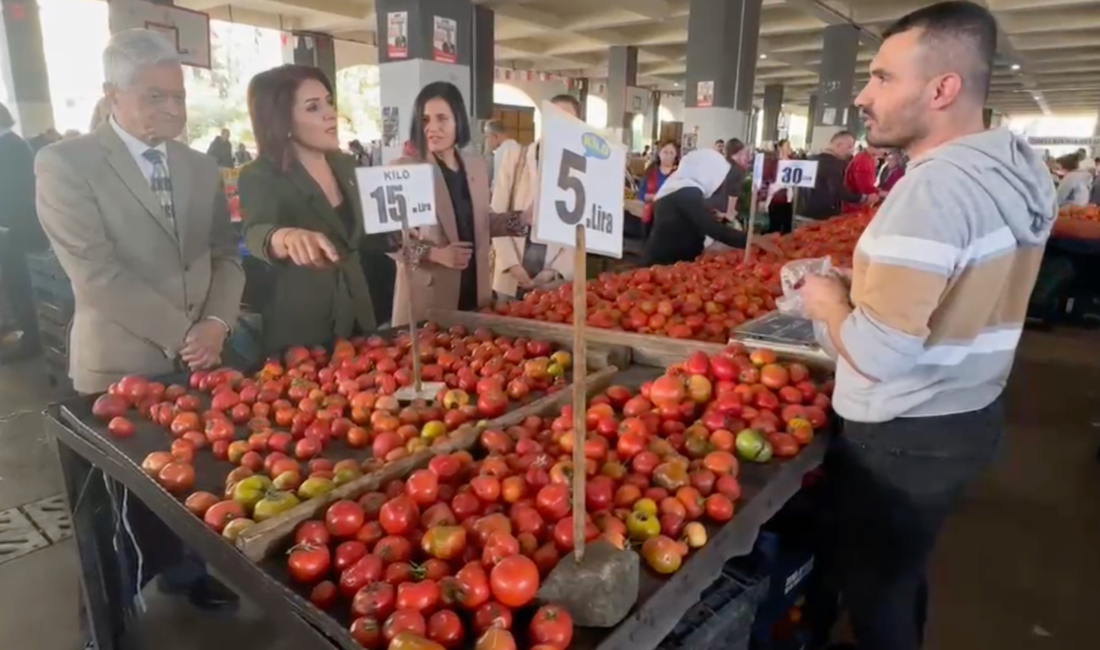 CHP Mersin Milletvekili Gülcan