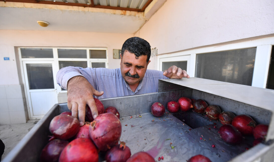 Tarıma yaptığı birçok destekle