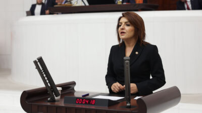 CHP Mersin Milletvekili Gülcan Kış, Türkiye Büyük Millet Meclisi’nde yaptığı