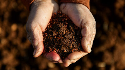 Mersin Büyükşehir Belediyesi İklim Değişikliği ve Sıfır Atık Dairesi Başkanlığı’nın,