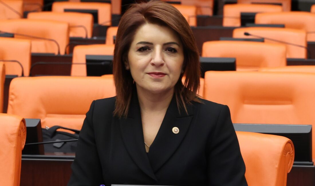 CHP Mersin Milletvekili Gülcan Kış,