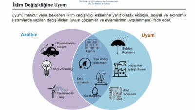 Mersin Büyükşehir Belediyesi Çevre Koruma ve Kontrol Dairesi Başkanlığı’nın “İklim Değişikliğine