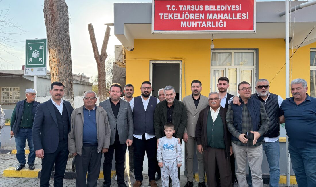 Milliyetçi Hareket Partisi Mersin