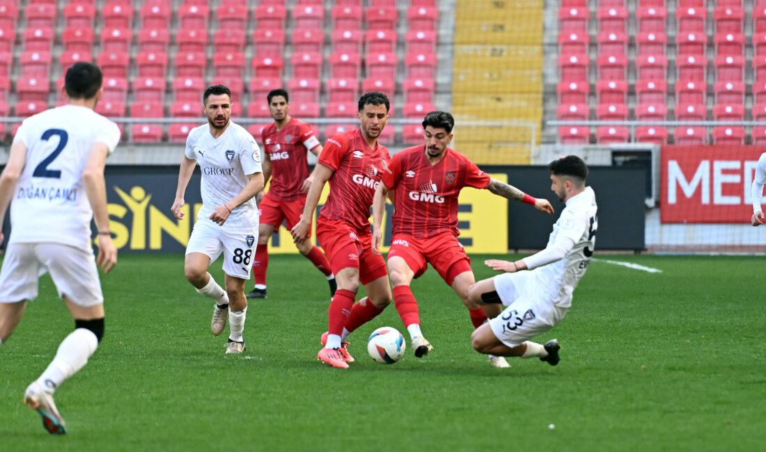 Türkiye Futbol Federasyonu 2.