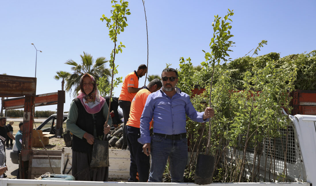 Mersin Büyükşehir Belediyesi Tarımsal Hizmetler Dairesi Başkanlığı tarafından, kentin tarımsal