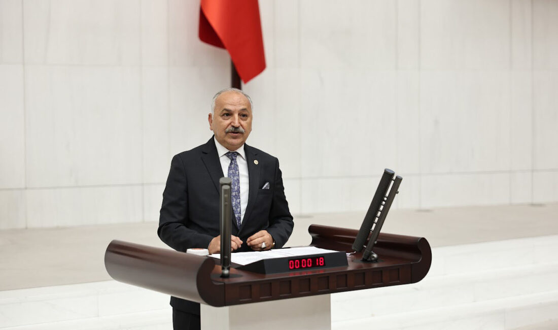 CHP Mersin Milletvekili Talat Dinçer, TBMM Genel Kurulu’nda Merkezi Yönetim