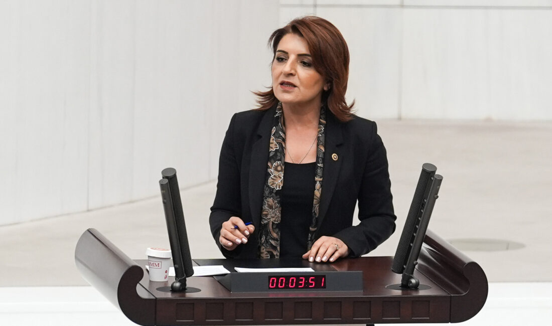 “KADINI YOK SAYAN ZİHNİYET, 25 KASIM KADINA YÖNELİK ŞİDDETLE MÜCADELE GÜNÜNÜ DE YOK SAYIYOR!” CHP Mersin Milletvekili Gülcan Kış, 25 Kasım Kadına Yönelik Şiddetle