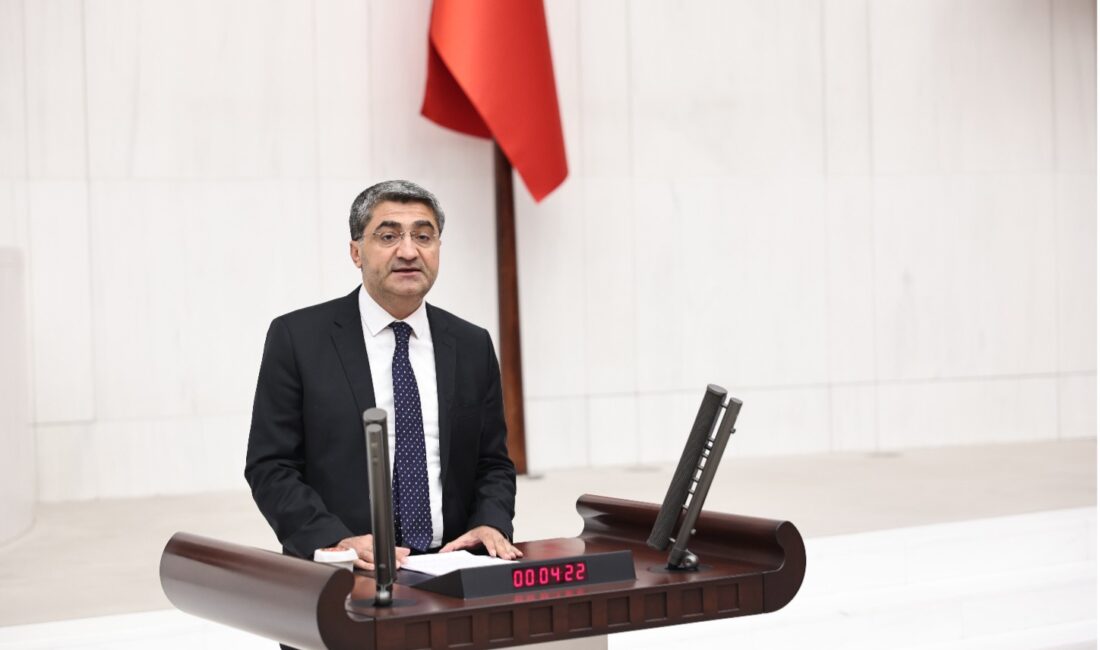 DEVA Partisi Genel Başkan Yardımcısı ve Mersin Milletvekili Mehmet Emin