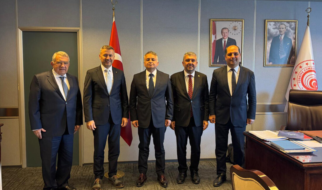 Mersin heyeti, Mersin Ekonomi