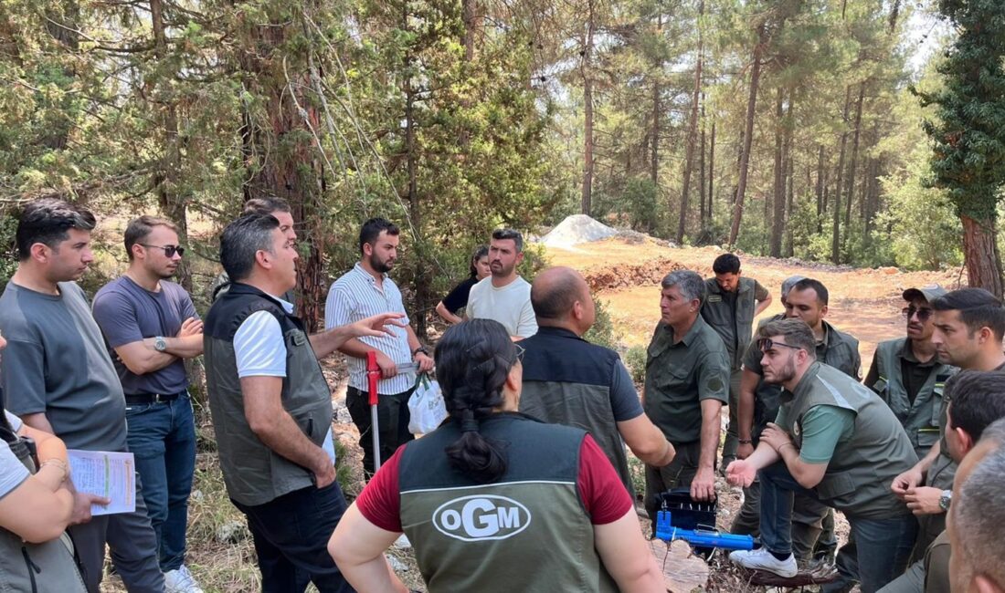 Mersin Orman Bölge Müdürlüğü’müze bağlı Çamlıyayla Orman İşletme Müdürlüğünde orman