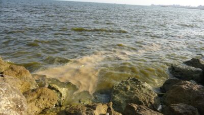 Doğu Akdeniz’de 321 kilometre kıyısı bulunan Mersin’de turizm noktalarının da