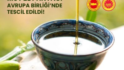 MUT ZEYTİNYAĞI COĞRAFİ İŞARET ALDI