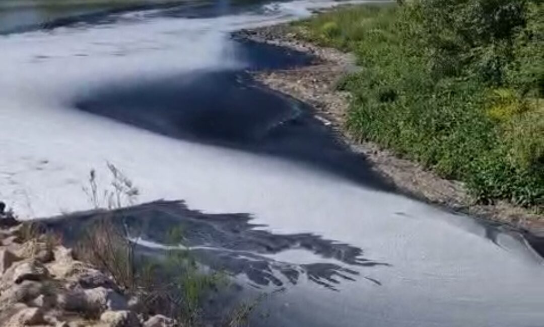 MERSİN’DE ÇEVRE FELAKETİ BİTMİYOR! (VİDEO) Mersin Kazanlı’daki balık ölümleri sorunu çözülmezken, bir de tarım drenajı