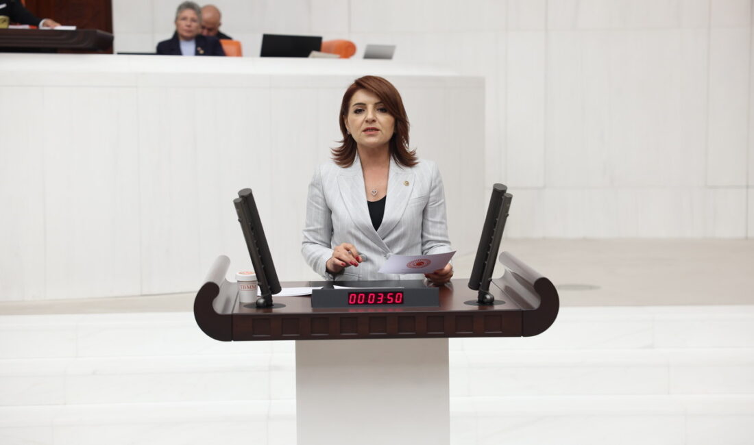 2 Milyon Emekli Çalışıyor, İktidar Masal Anlatıyor CHP Mersin Milletvekili Gülcan Kış, Türkiye’de emeklilerin içine sürüklendiği yoksulluğa