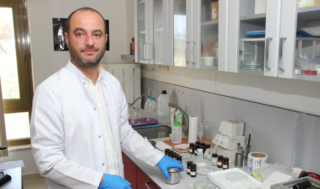 Mersin Üniversitesi Mühendislik Fakültesi Metalurji ve Malzeme Mühendisliği Bölümü öğretim