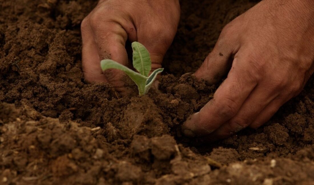 Cumhurbaşkanı Recep Tayyip Erdoğan’ın imzasıyla yayımlanan karara göre, 2025 yılında