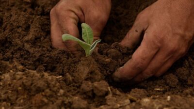 Cumhurbaşkanı Recep Tayyip Erdoğan’ın imzasıyla yayımlanan karara göre, 2025 yılında