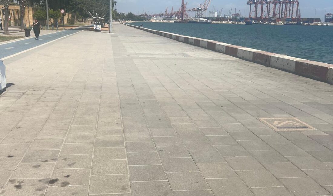 Mersin son yıllarda hem belediyelerin hem de merkezi idarenin yaptığı