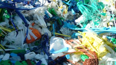 Evrensel Gazetesi’nde yayımlanan bir haberde, Türkiye’de her yıl yaklaşık 30 milyar