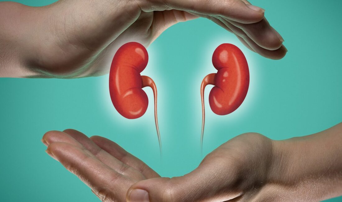 ORGAN BAĞIŞI E-DEVLETTE Organ bağışı e-devlet’ten yapılabilecek. Bağış işlemleri artık e-Devlet ve e-Nabız