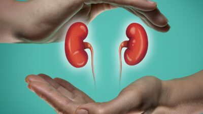 Organ bağışı e-devlet’ten yapılabilecek. Bağış işlemleri artık e-Devlet ve e-Nabız