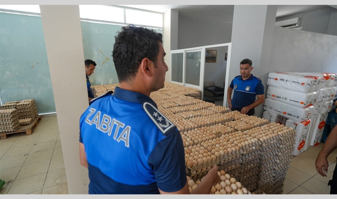 TARSUS BELEDİYESİ ZABITASINDAN HALK SAĞLIĞINI KORUYAN OPERASYON: ALTMIŞ BİN BOZUK YUMURTAYA EL KONULDU Tarsus Belediyesi Zabıta ekipleri, Altaylılar Mahallesi’nde gerçekleştirdikleri denetim sırasında halk