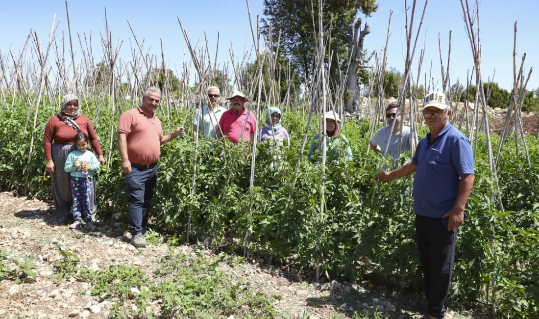 Mersin Büyükşehir Belediyesi, tarım ve üretimi destekleme projeleri kapsamında Erdemli
