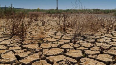 Tüm yurtta soğuk hava etkisini gösterirken Adana’da ve Mersin gibi şehirlerde sıcak