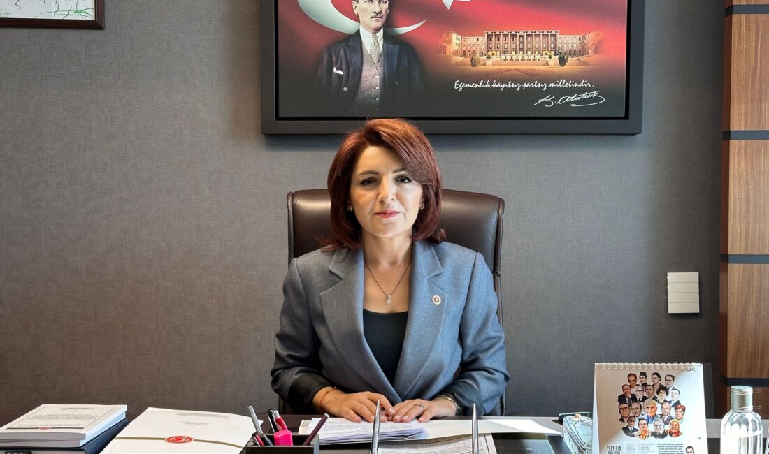 CHP Mersin Milletvekili ve TBMM Bayındırlık, İmar, Ulaştırma ve Turizm