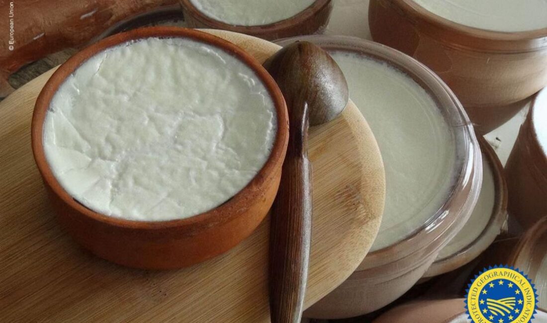 Silifke Yoğurdu Avrupa Yolcusu Yoğurt Türkçenin dünyaya ettiği armağanlardan biri. Lezzeti kadar zengin bir