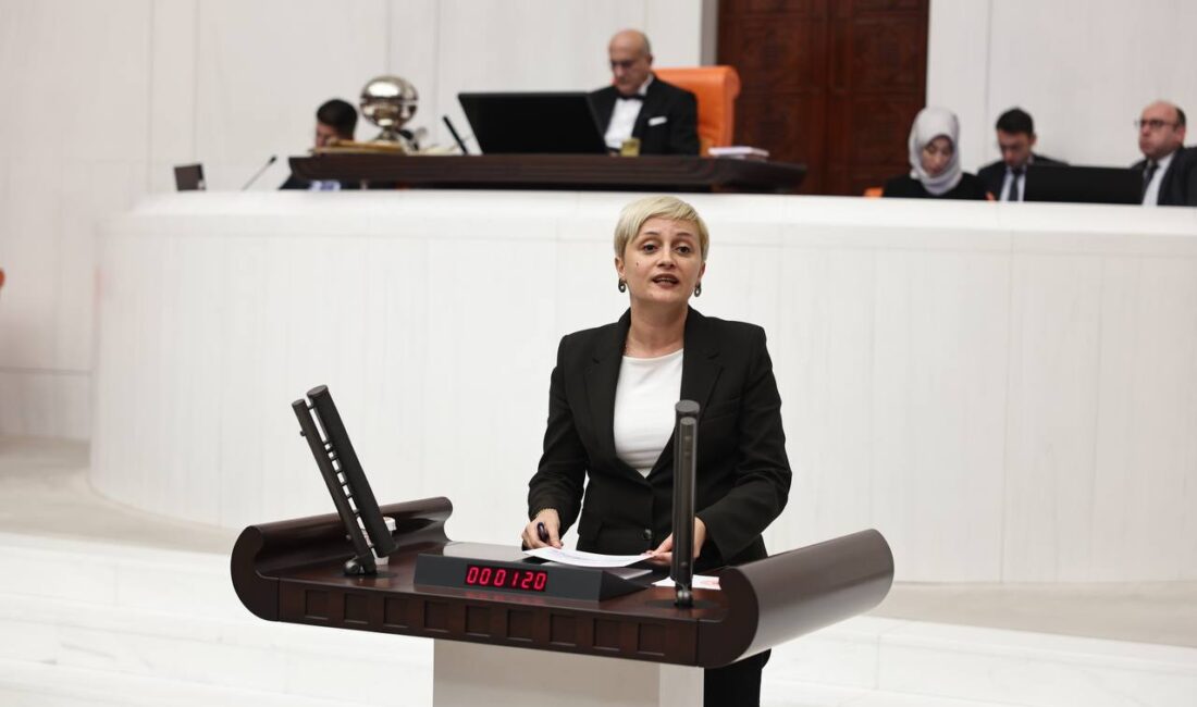 ‘Demirtaş’ı, Yüksekdağ’ı ve tüm Kobane tutsaklarını derhâl serbest bırakın’ Toplumsal Özgürlük Partisi Sözcüler Kurulu üyesi ve DEM Parti Mersin