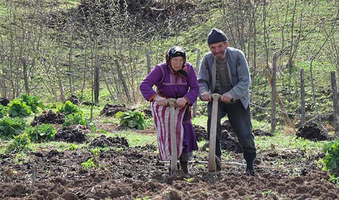 2025 TARIMSAL ÜRETİMDE ALARM ZİLLERİ ÇALIYOR Bitkisel üretim sert düşüşte, “Sorun sadece iklim değil, yönetim modelinde”